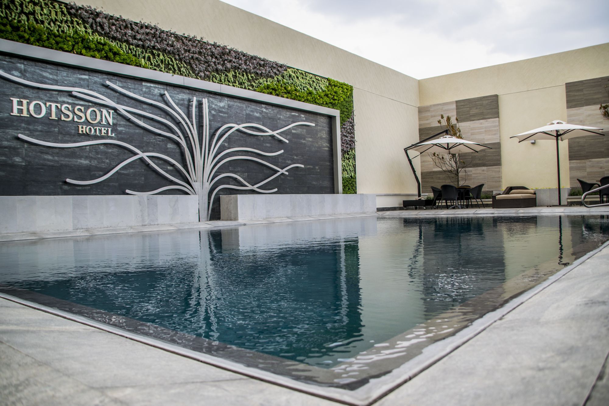 Hs Hotsson Hotel Irapuato Extérieur photo